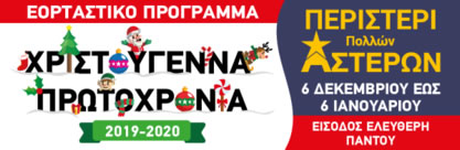 Περιστέρι Πολλών Αστέρων 2019-2020