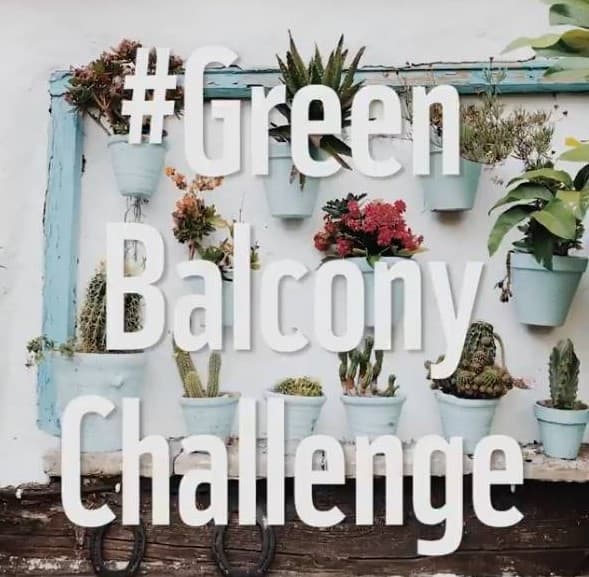  Συμμετέχουμε όλοι στο #GreenBalconyChallenge του WWF