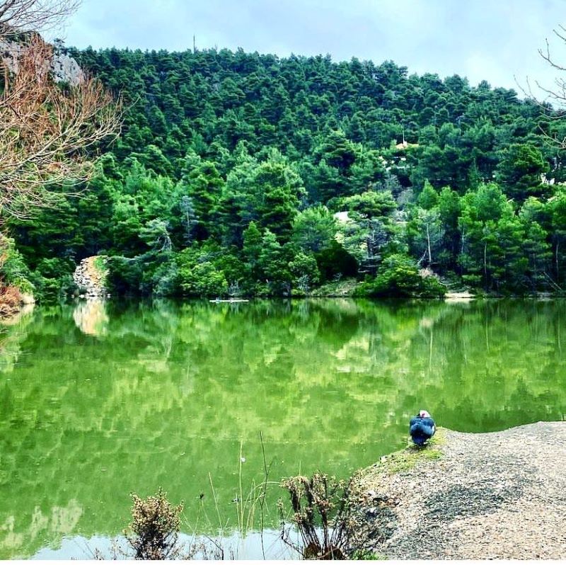 λιμνη μπελέστι
