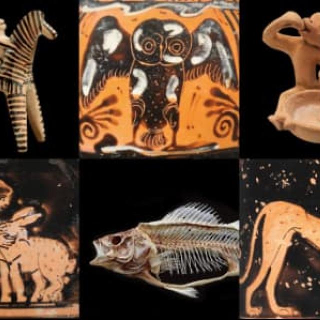 1ο Εκπαιδευτικό Εργαστήριο του κύκλου «Άνθρωποι και ζώα στην αρχαιότητα» στο Μουσείο Κανελλοπούλου