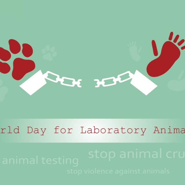  24 Απριλίου: Παγκόσμια Ημέρα Κατάργησης Πειραμάτων σε Ζώα - Κεντρική Εικόνα