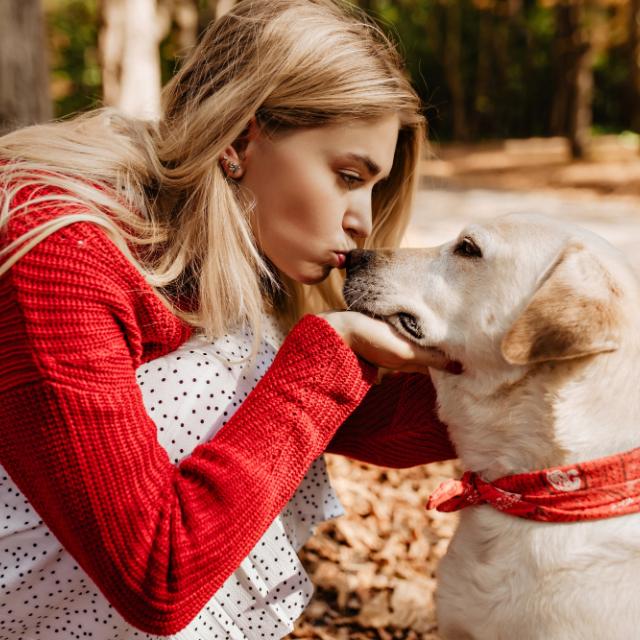 Τι καταλαβαίνουν οι σκύλοι όταν μυρίζουν τους ανθρώπους